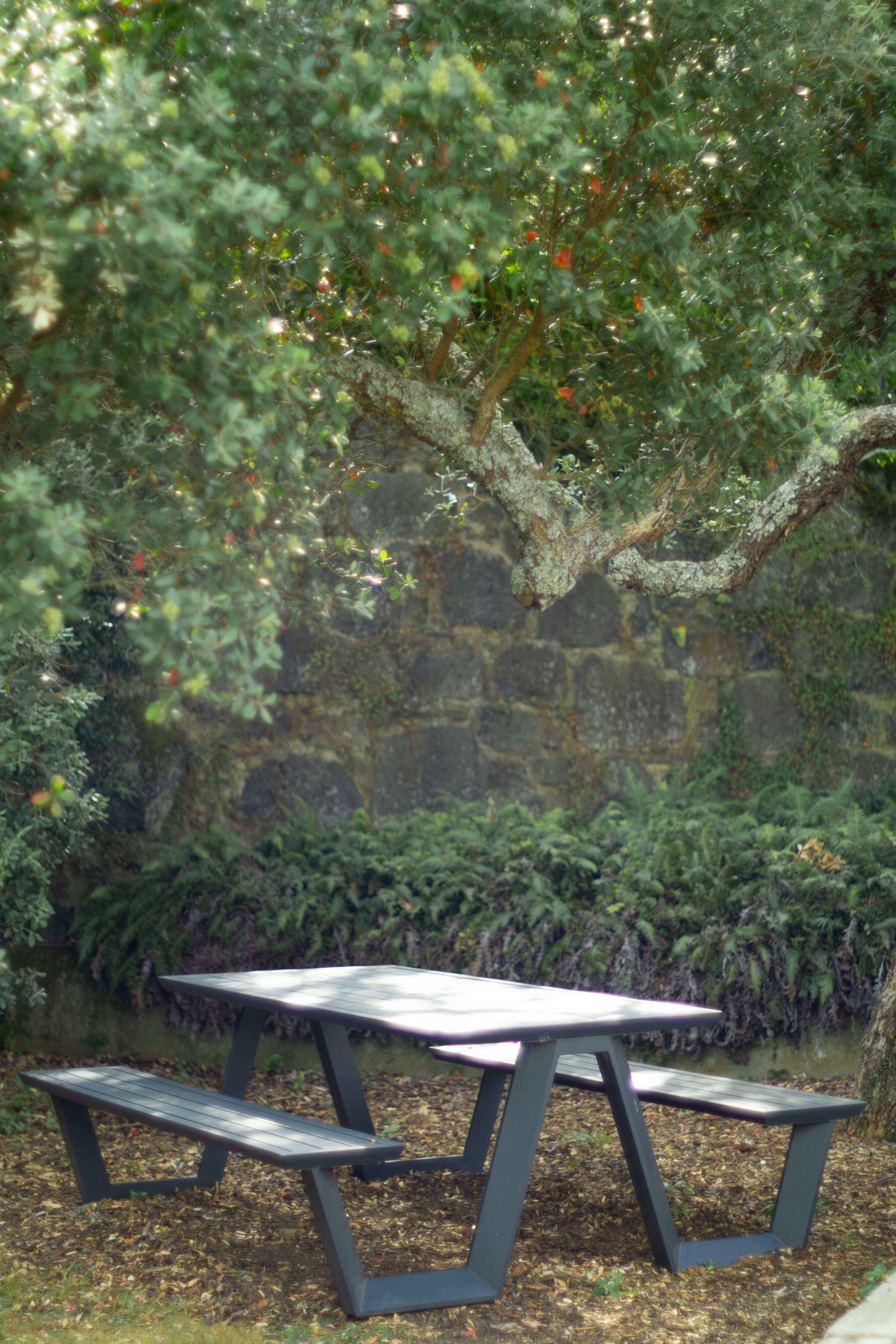 Shade Courts nature sit spot